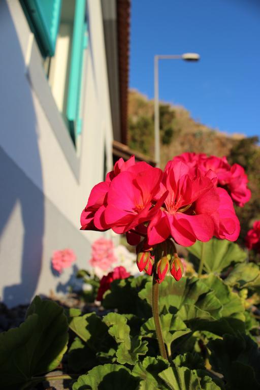 Holiday home Aqua Sea House Madalena do Mar